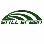 stillgreen.jpg