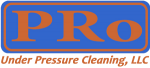 ProCleanLogoMED-w-words.png