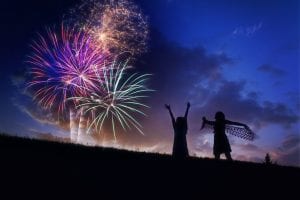 Brownstown Fireworks 2022 @ Lake Erie Metropark | Rockwood | Michigan | United States
