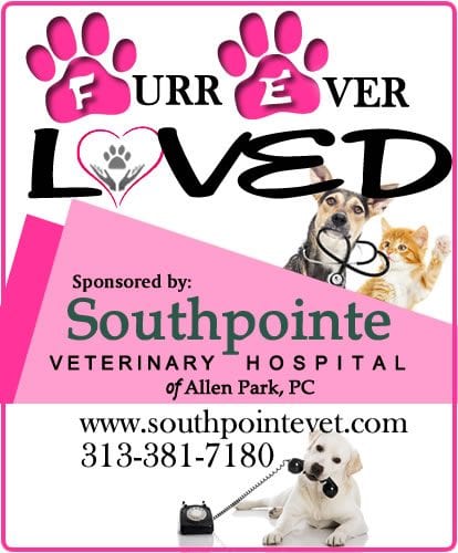 Southpointe-sponsor.jpg
