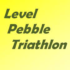 7th Annual Level Pebble Triathlon in Flat Rock @ Flat Rock Community Center | Flat Rock | Michigan | United States