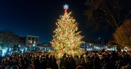 Taylor Winterfest Day Celebration @ Heritage Park - Sheridan Open Air Pavilion | Taylor | Michigan | United States