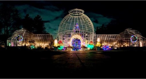 Holiday Tree Lighting @ Taylor Conservatory | Taylor | Michigan | United States