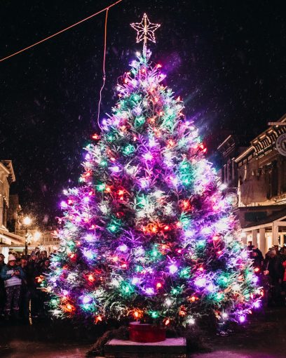 Brownstown Tree Lighting @ Brownstown Charter Township | Michigan | United States