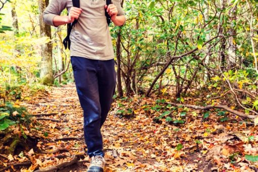 National Trails Event - Let's Go Hiking @ Detroit River International Wildlife Refuge | Trenton | Michigan | United States